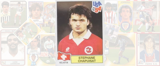 Stéphane Chapuisat