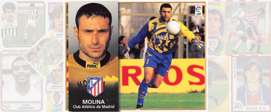 José Francisco Molina