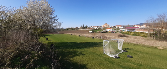 Moneo (Burgos)