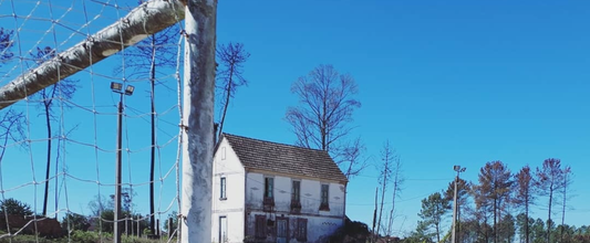 Salvaterra de Miño (Pontevedra)